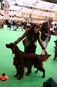 Crufts2011 286